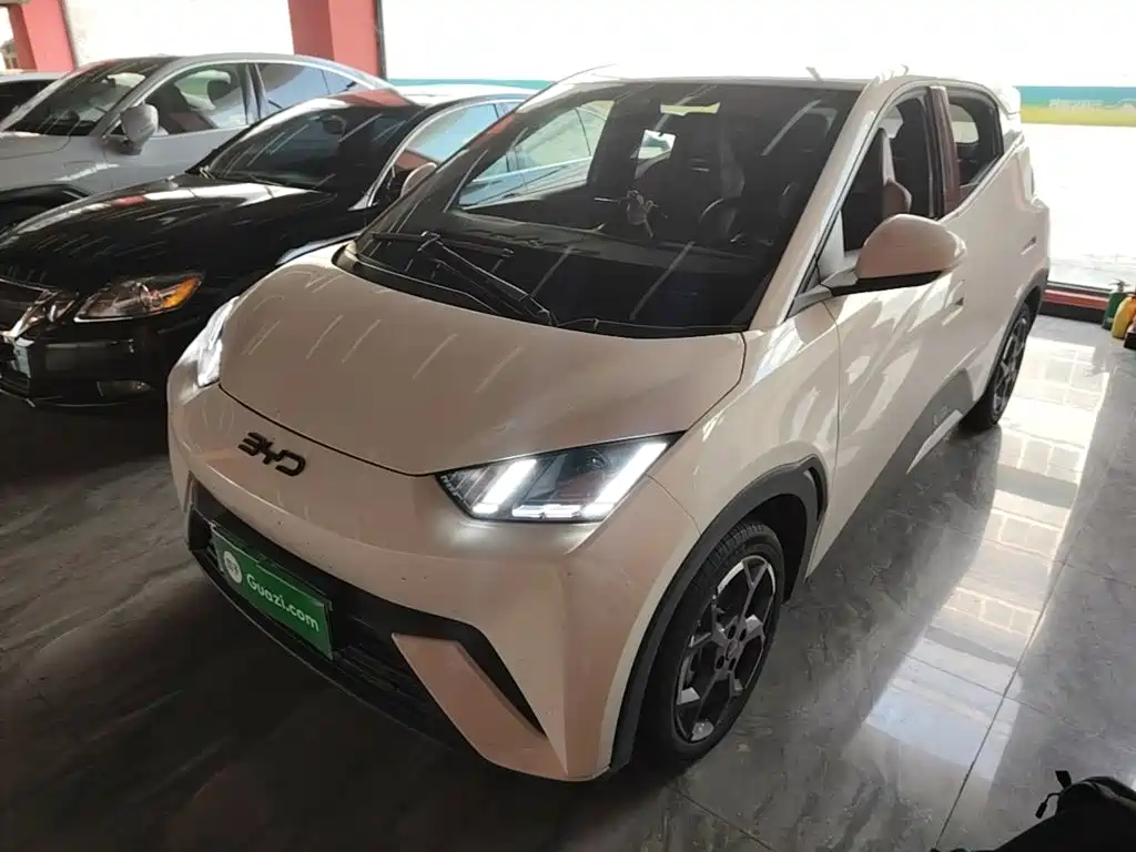 BYD Seagull 2025