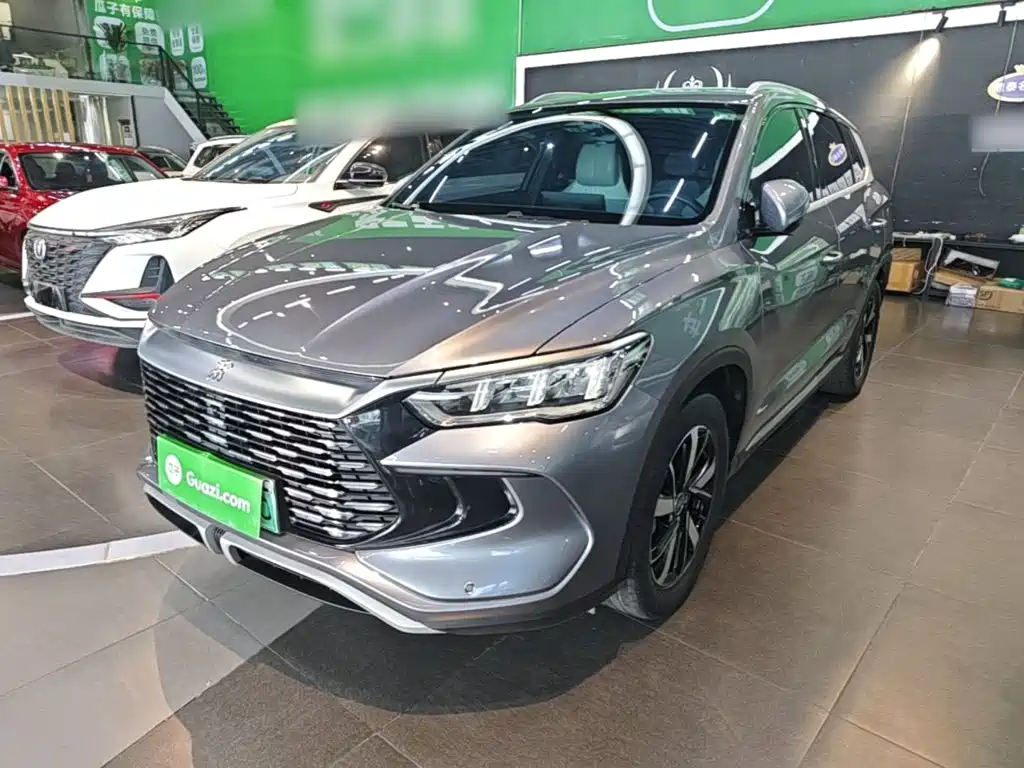 BYD Pro New Energy 2023