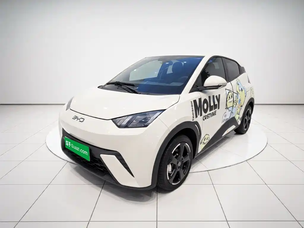 BYD Seagull 2024