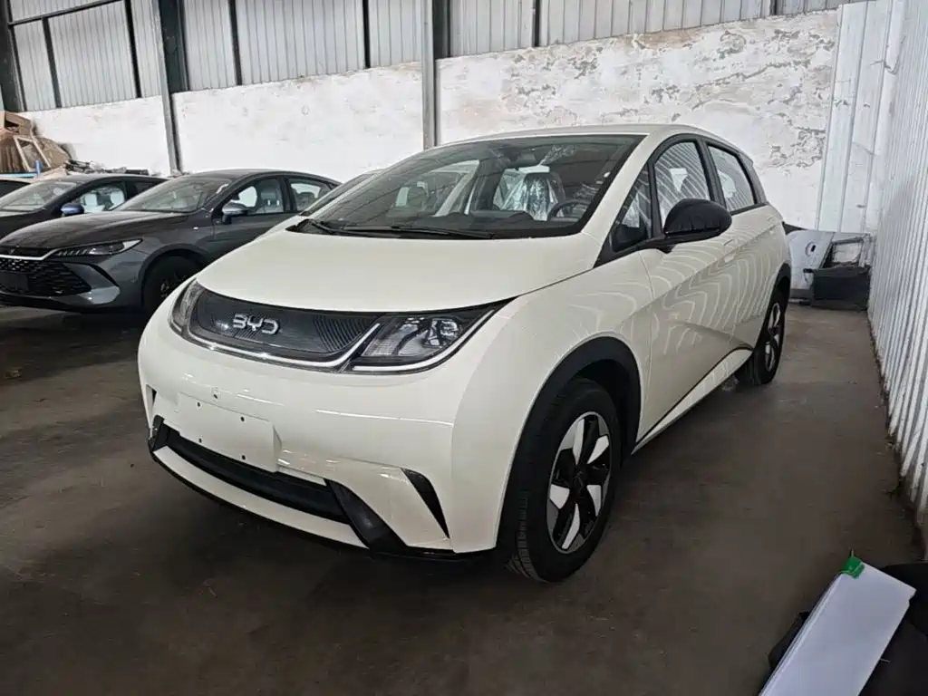 BYD Dolphin 2026