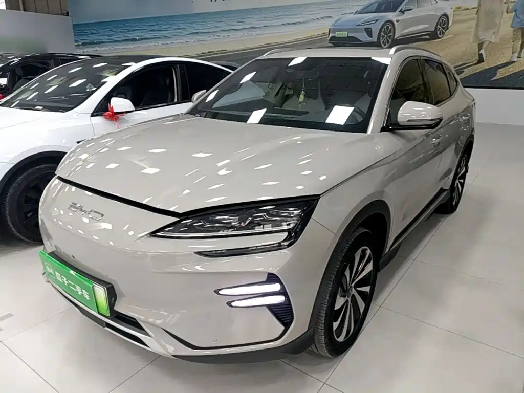 BYD PLUS New Energy 2024