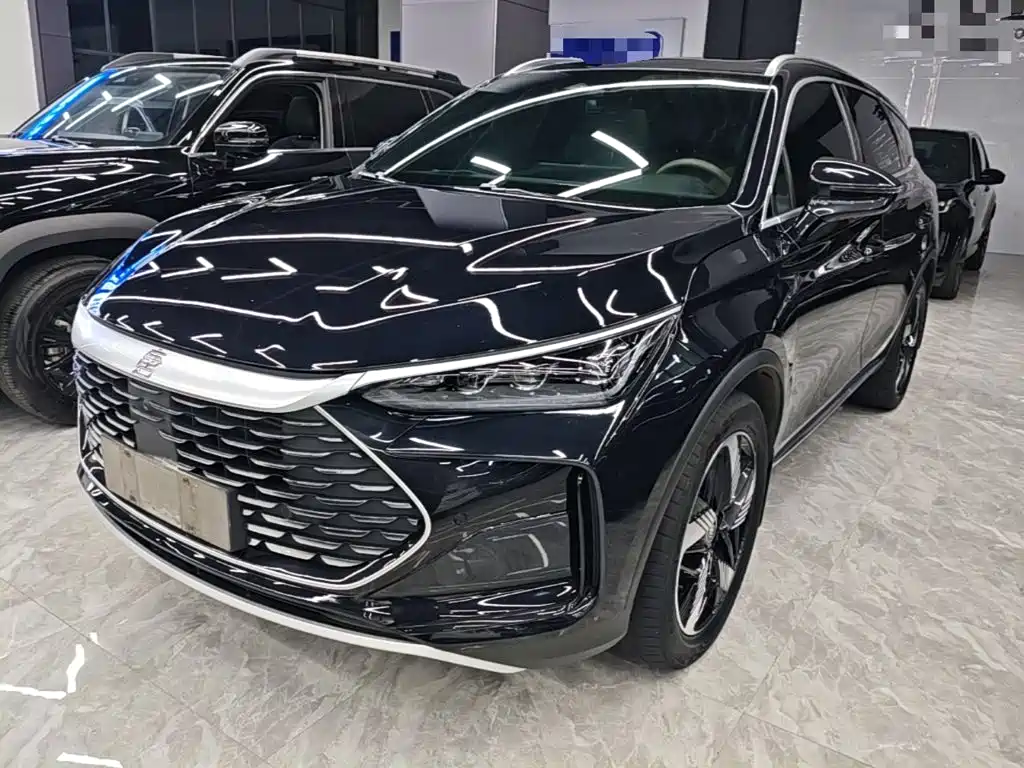BYD Tang New Energy 2024