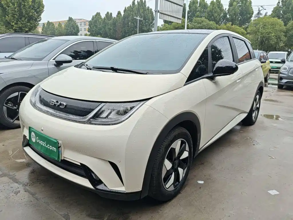 BYD Dolphin 2024