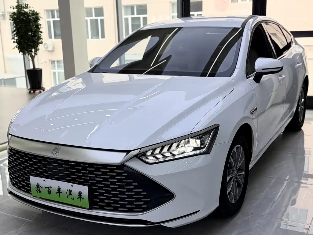 BYD Qin PLUS 2024