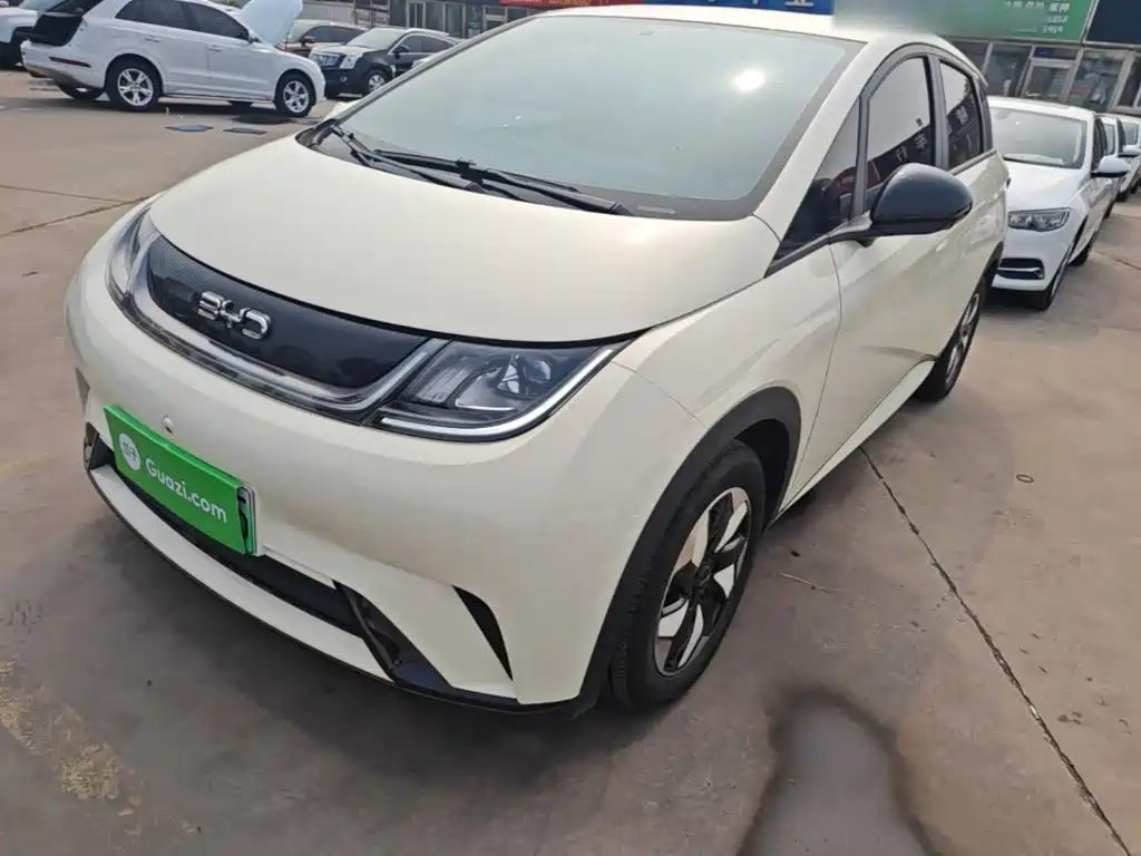BYD Dolphin 2025