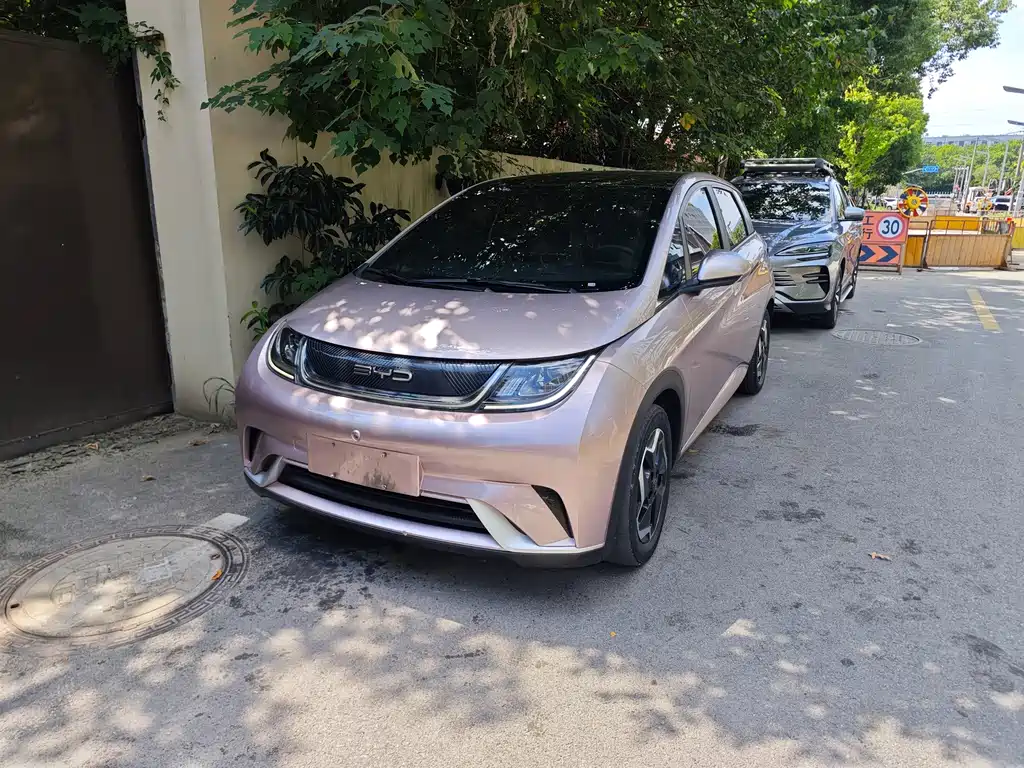 BYD Dolphin 2020