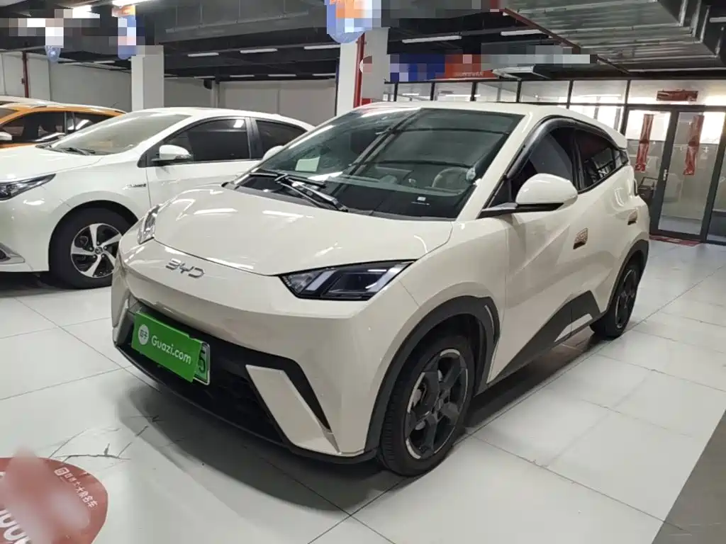 BYD Seagull 2024