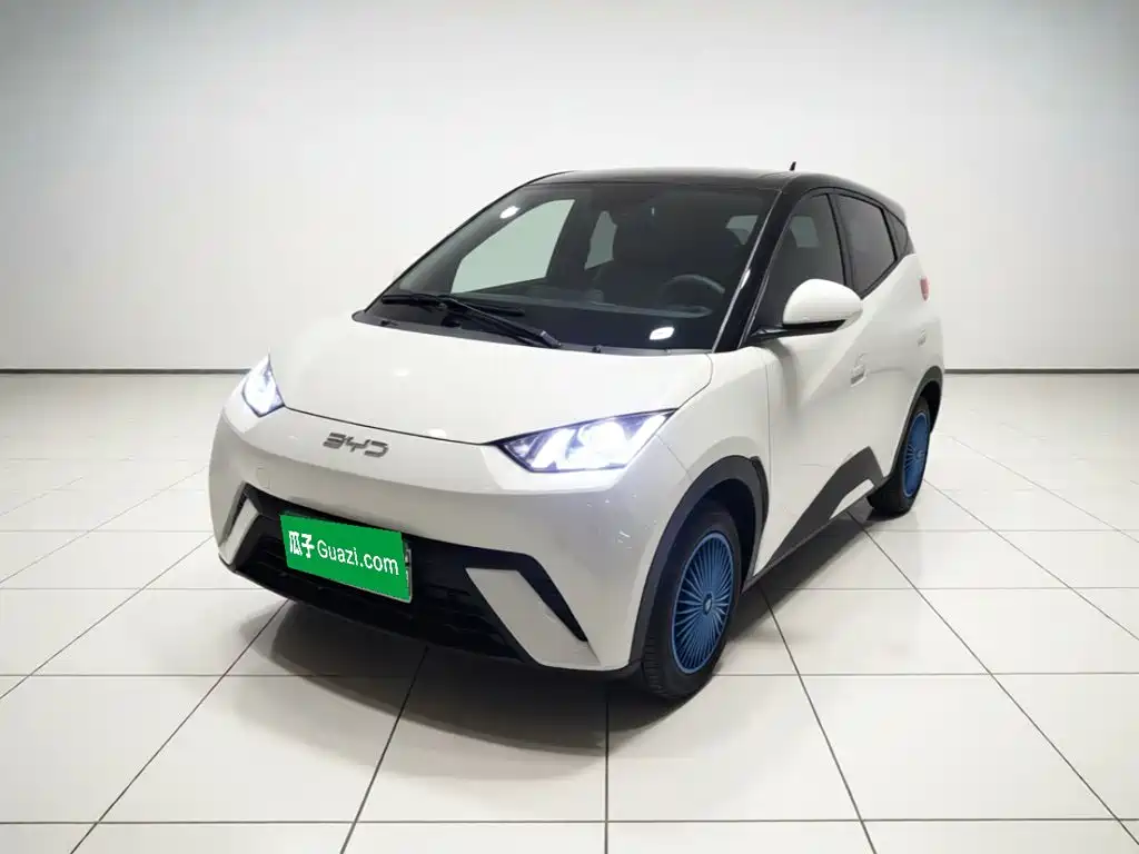 BYD Seagull 2024