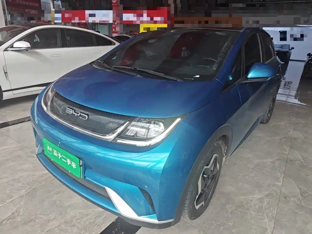 BYD Dolphin 2022