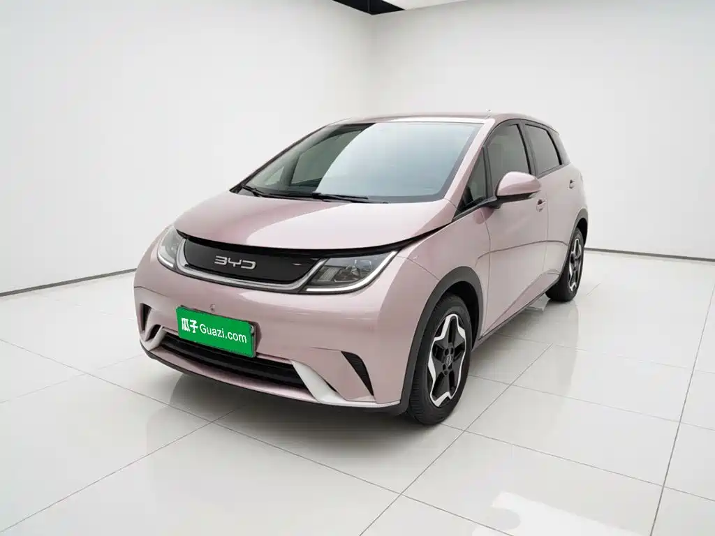 BYD Dolphin 2022