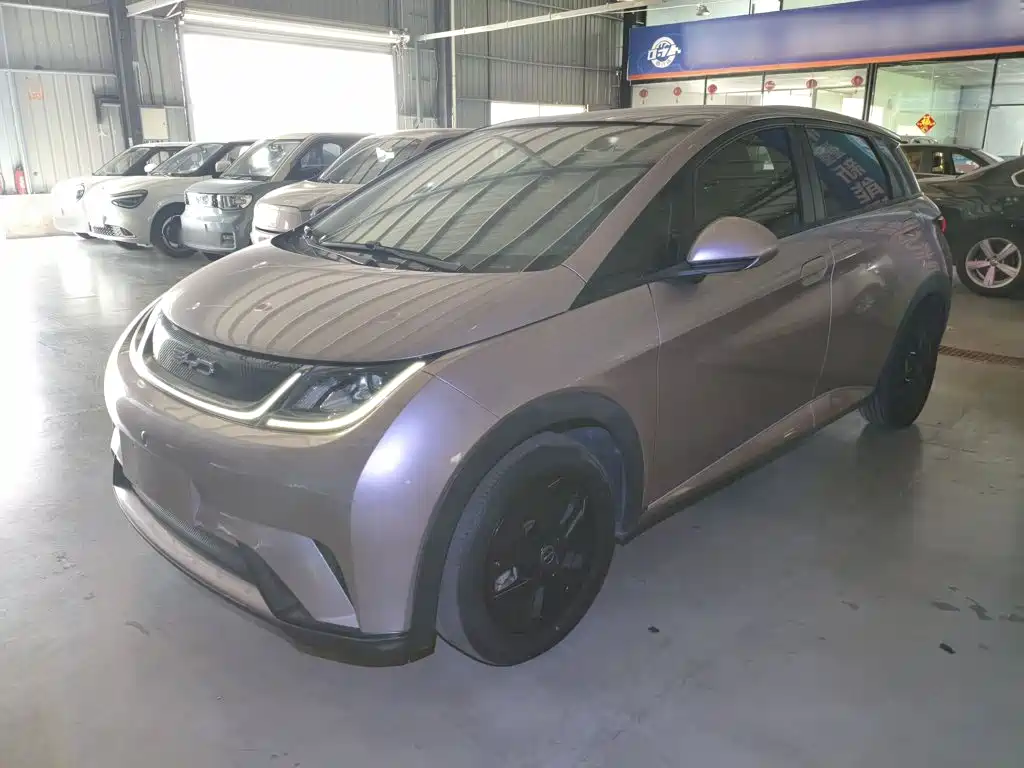 BYD Dolphin 2022