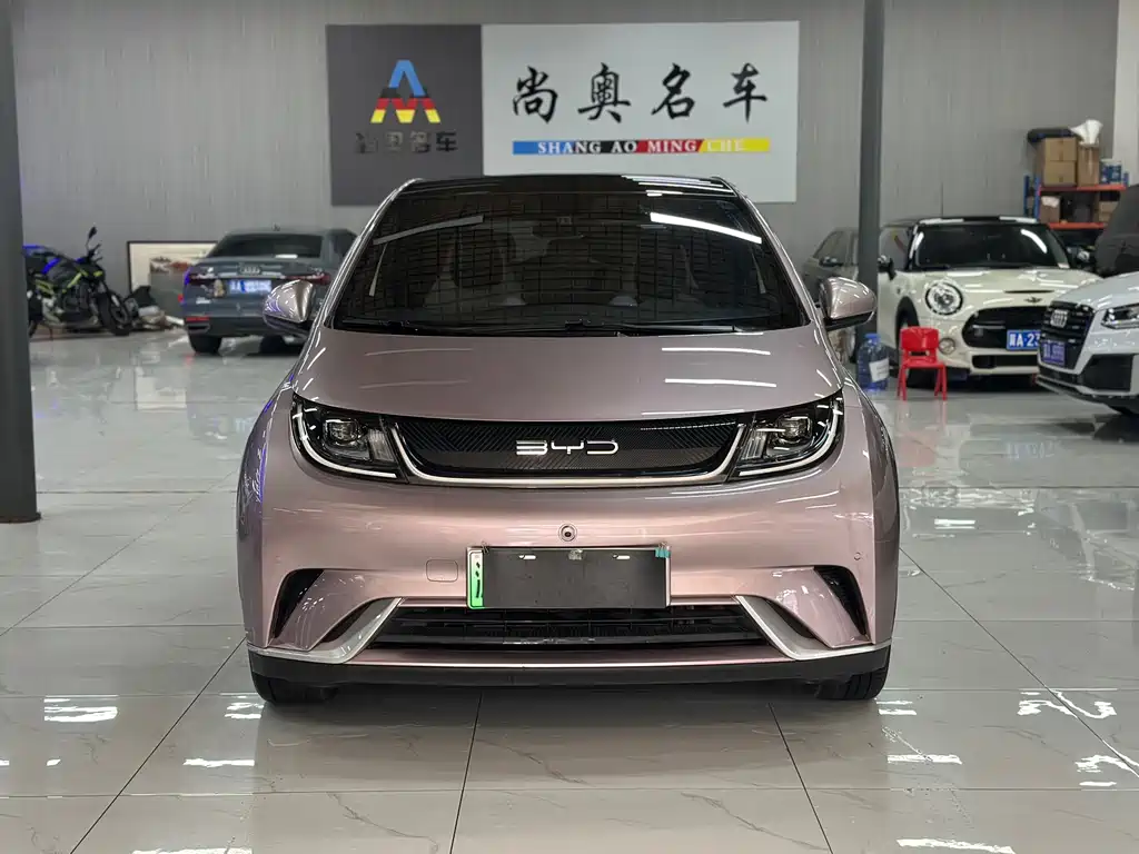 BYD Dolphin 2023