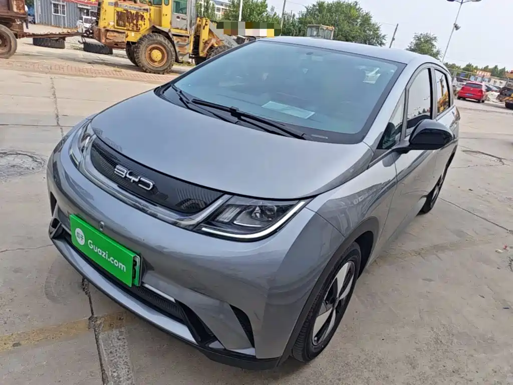 BYD Dolphin 2024