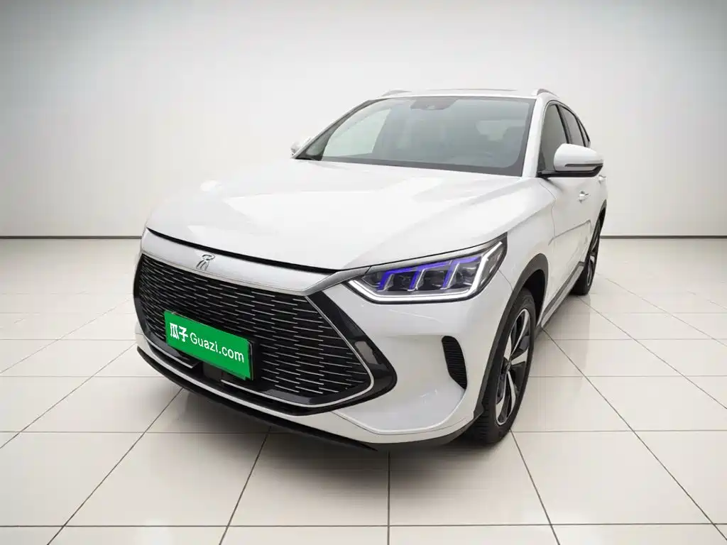 BYD PLUS New Energy 2022