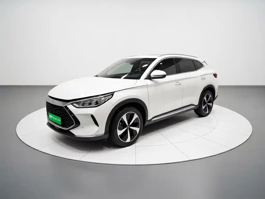 BYD PLUS New Energy 2021