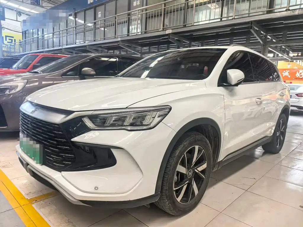 BYD Pro New Energy 2024