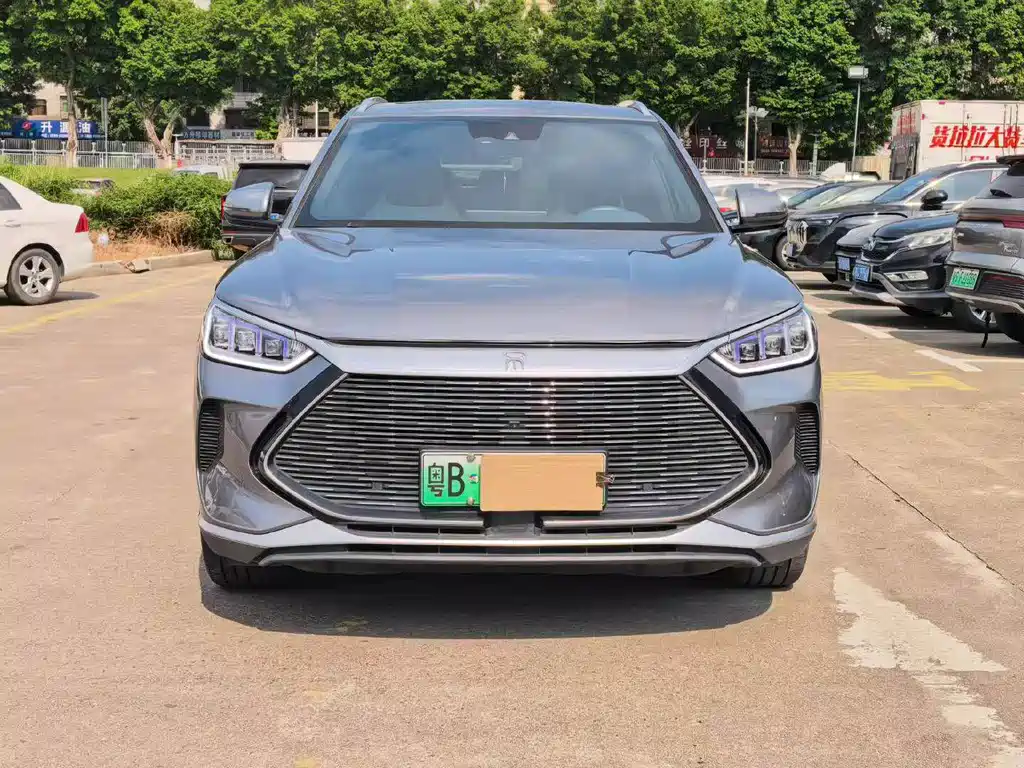 BYD PLUS New Energy 2022