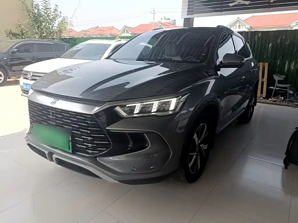 BYD Pro New Energy 2024