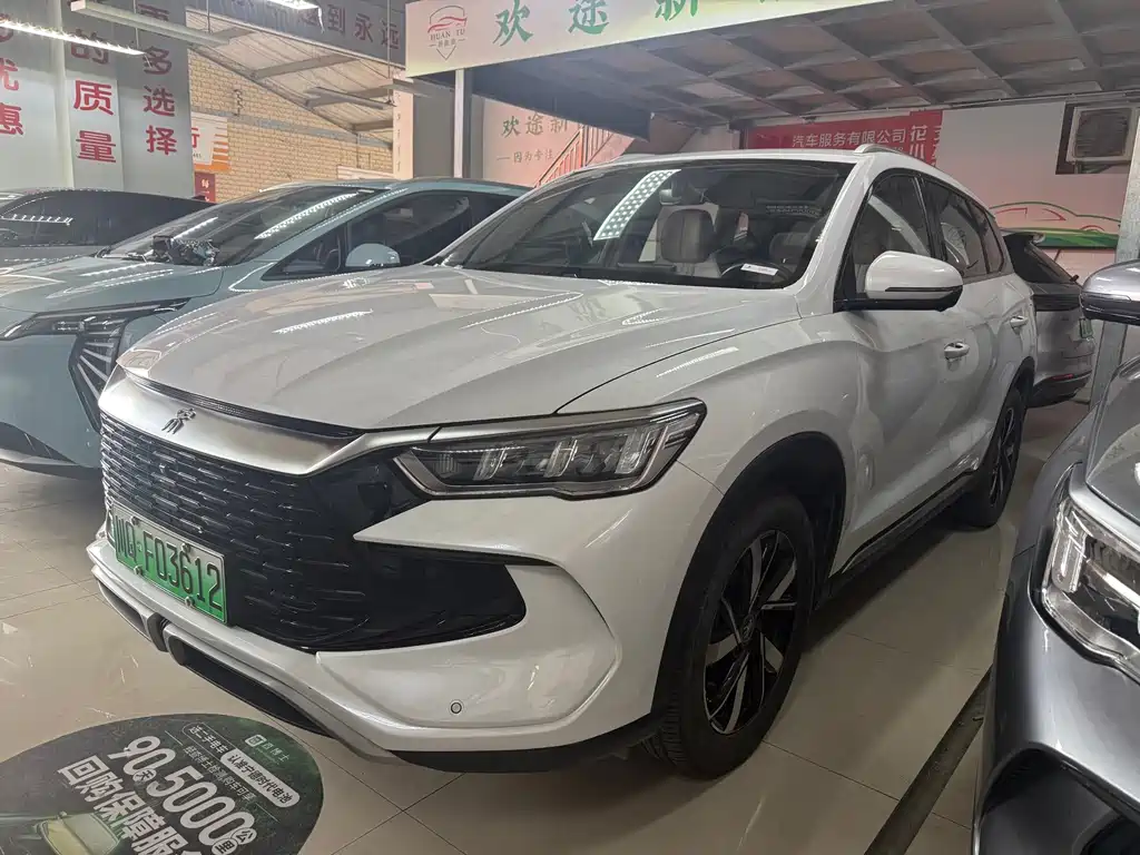BYD Pro New Energy 2024
