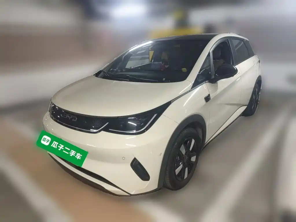 BYD Dolphin 2025