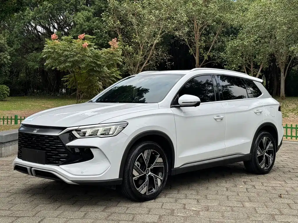 BYD Pro New Energy 2024