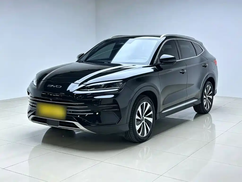 BYD PLUS New Energy 2024