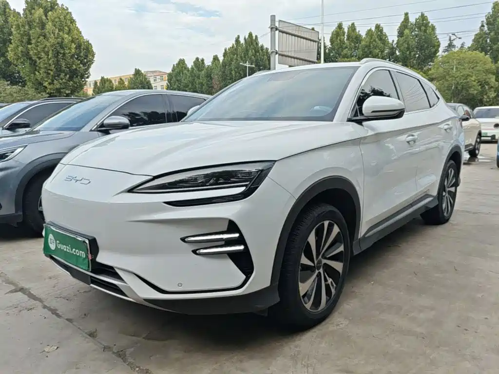 BYD PLUS New Energy 2024