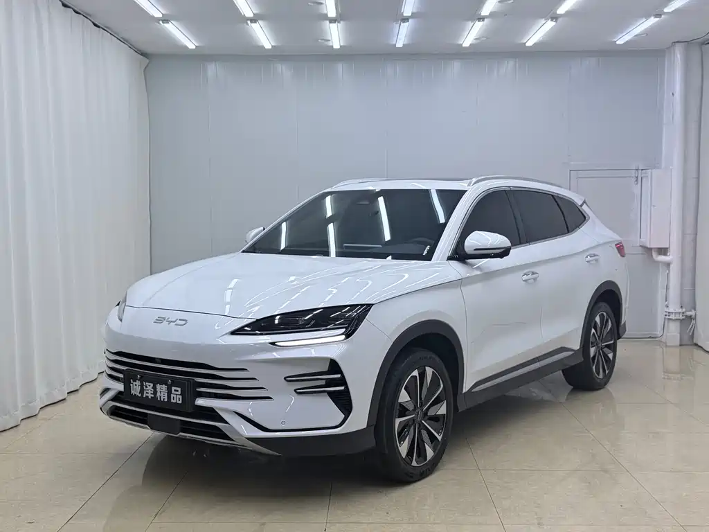 BYD PLUS New Energy 2024