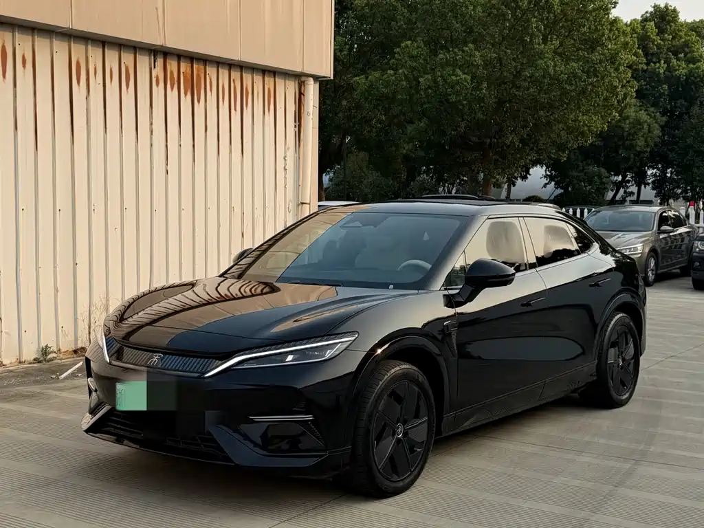 BYD L EV 2024