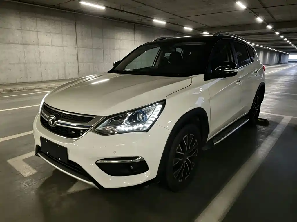 BYD New Energy 2017