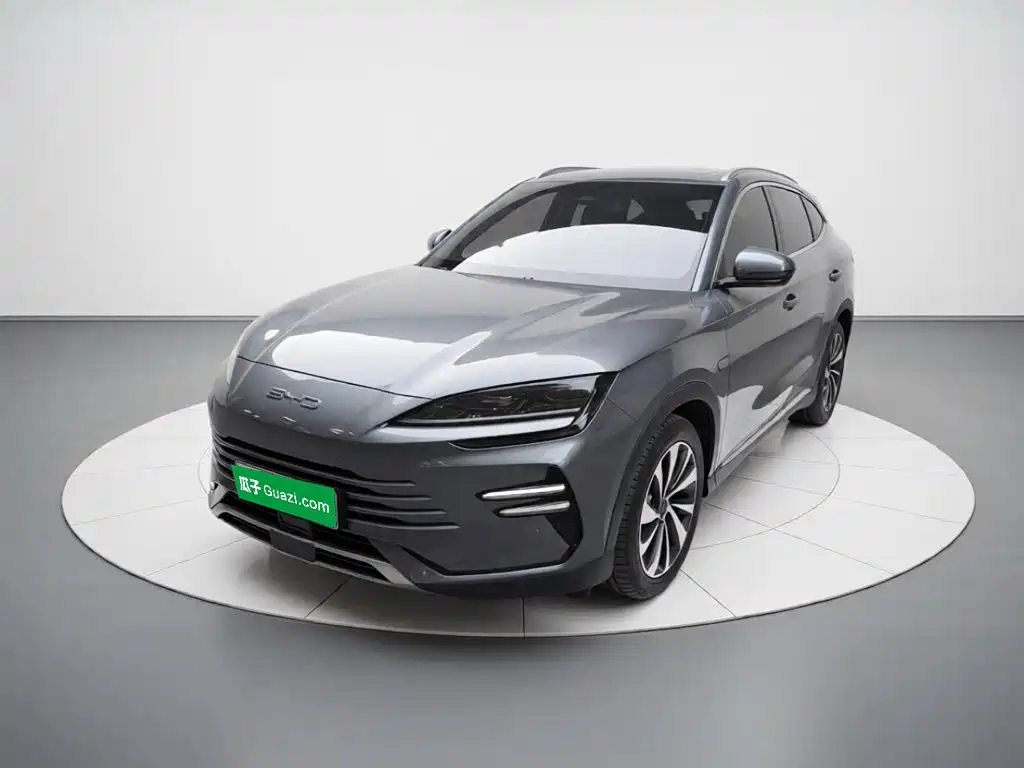 BYD PLUS New Energy 2023