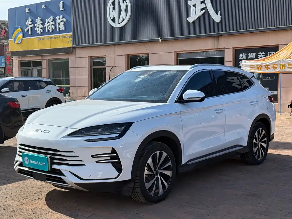 BYD PLUS New Energy 2024