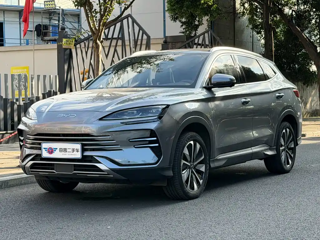 BYD PLUS New Energy 2024