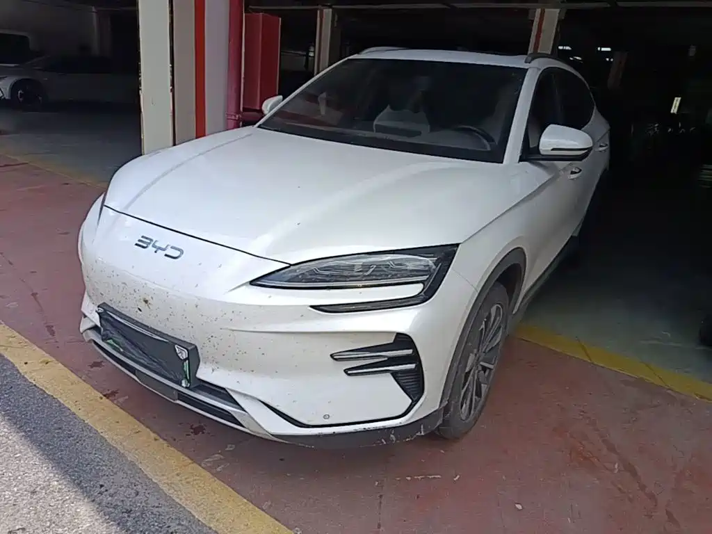 BYD PLUS New Energy 2024