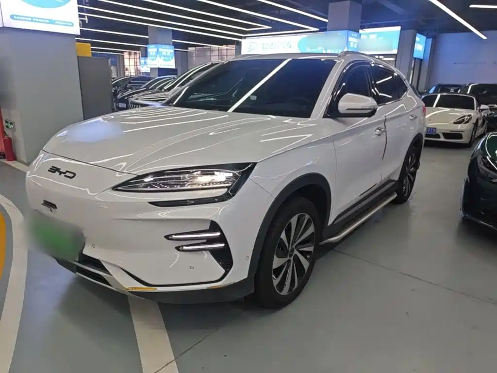 BYD PLUS New Energy 2024