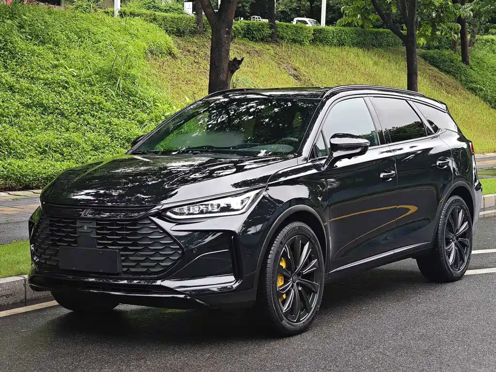BYD Tang New Energy 2024