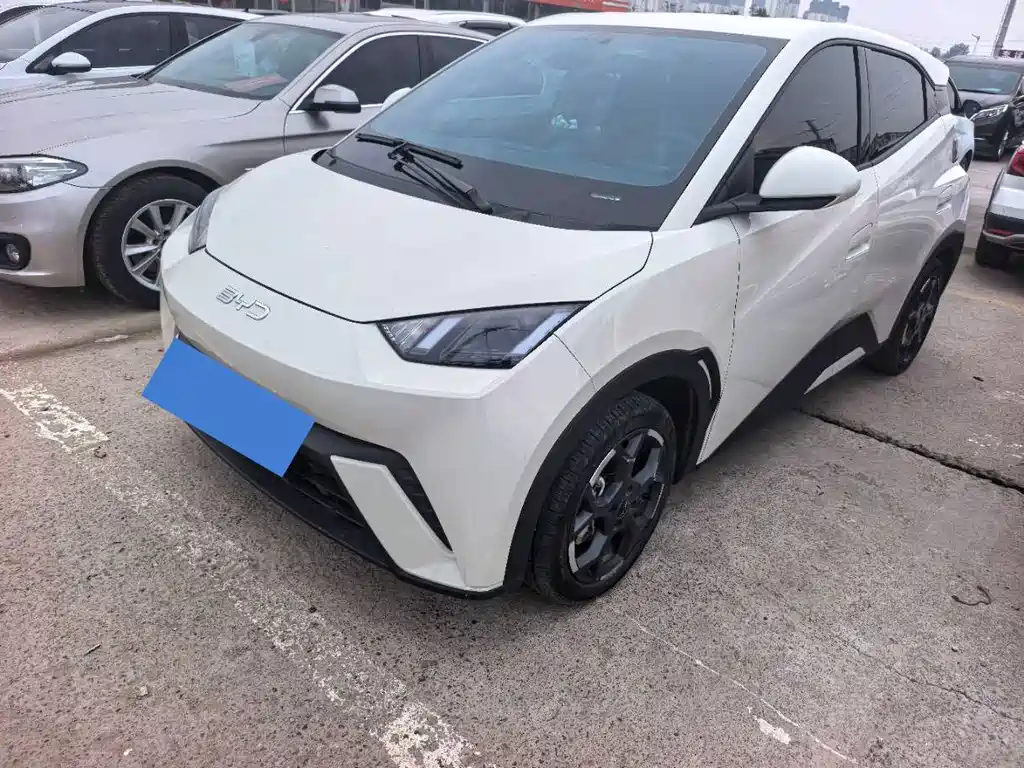 BYD Seagull 2024
