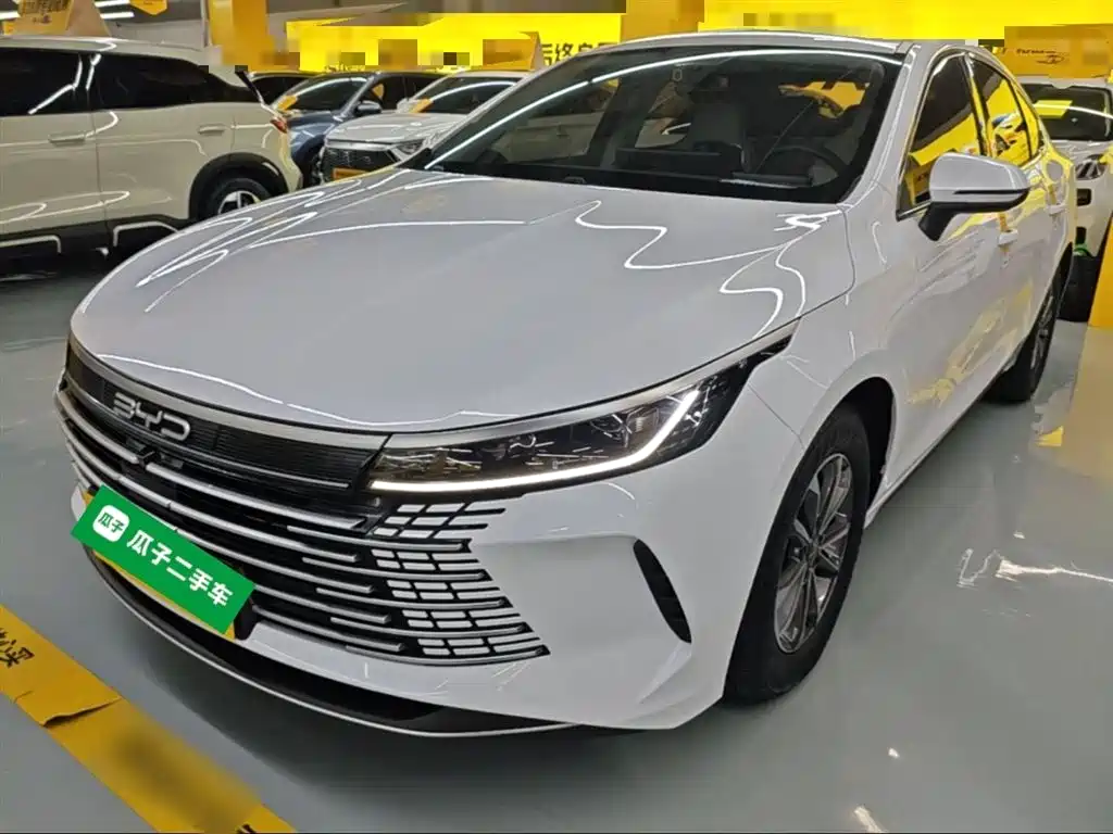 BYD Destroyer 05 2024