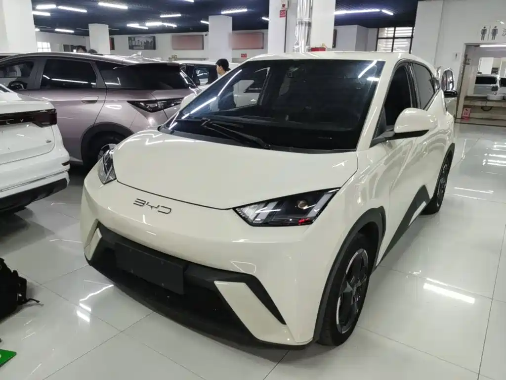 BYD Seagull 2024