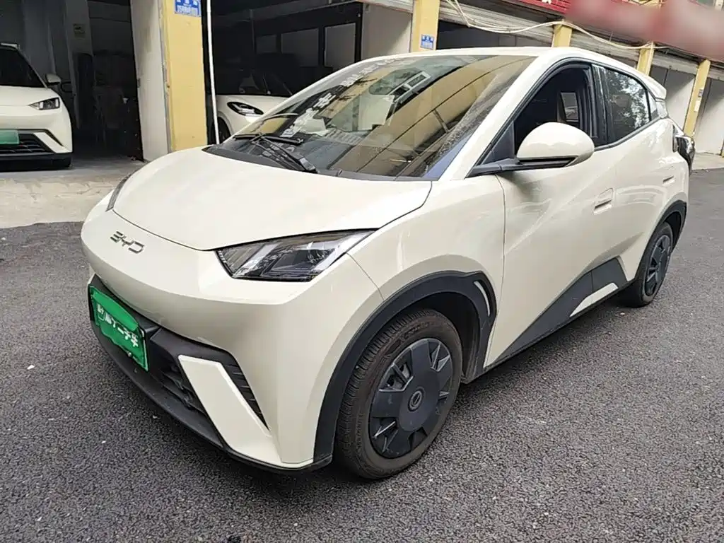 BYD Seagull 2024
