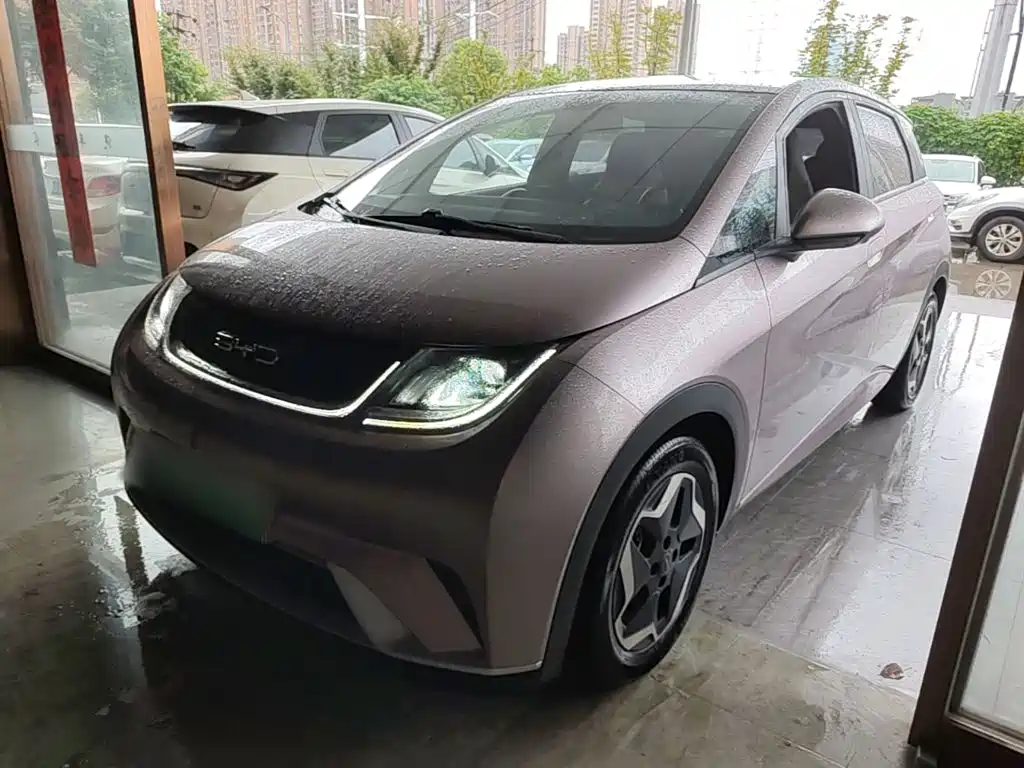 BYD Dolphin 2022