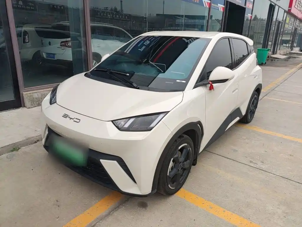BYD Seagull 2024
