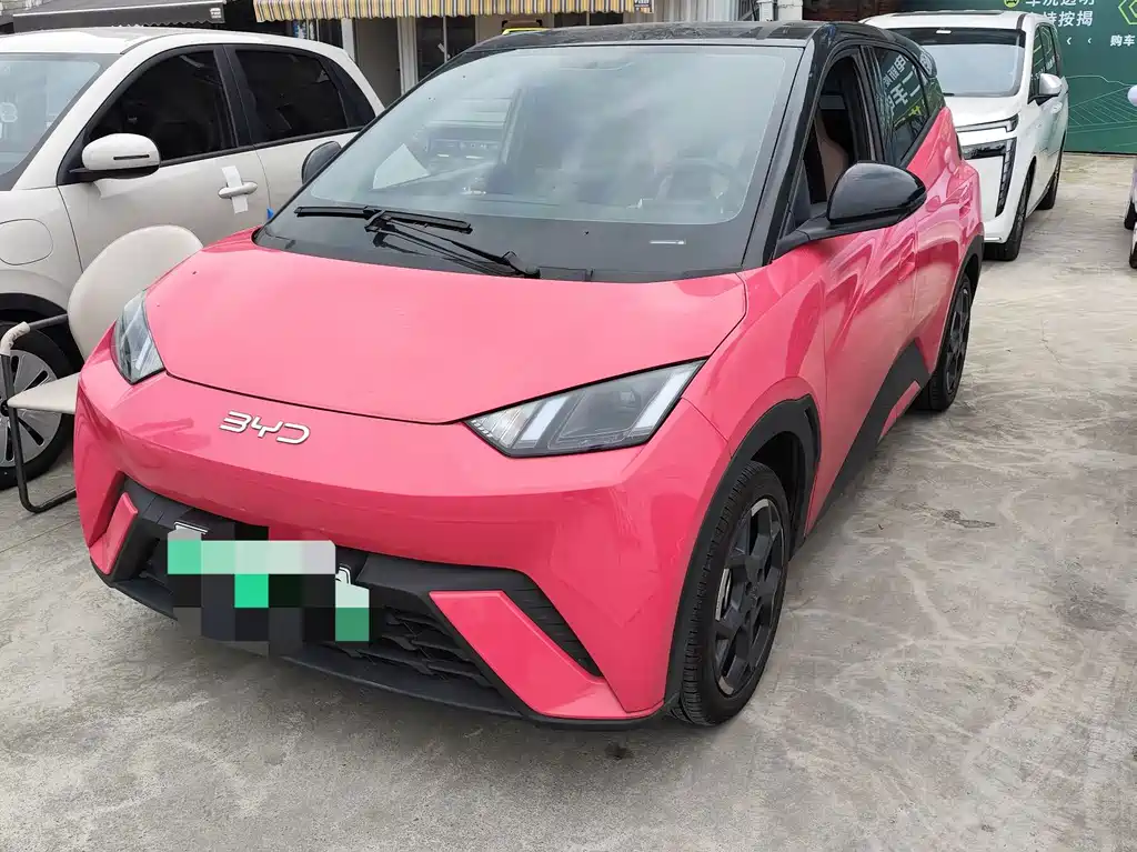 BYD Seagull 2024