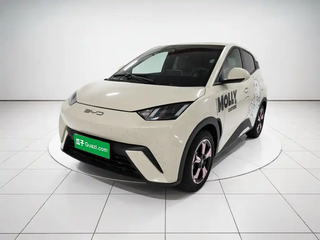 BYD Seagull 2023