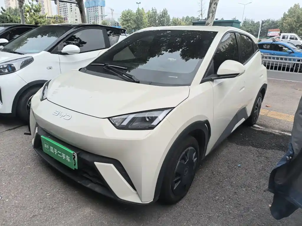 BYD Seagull 2024