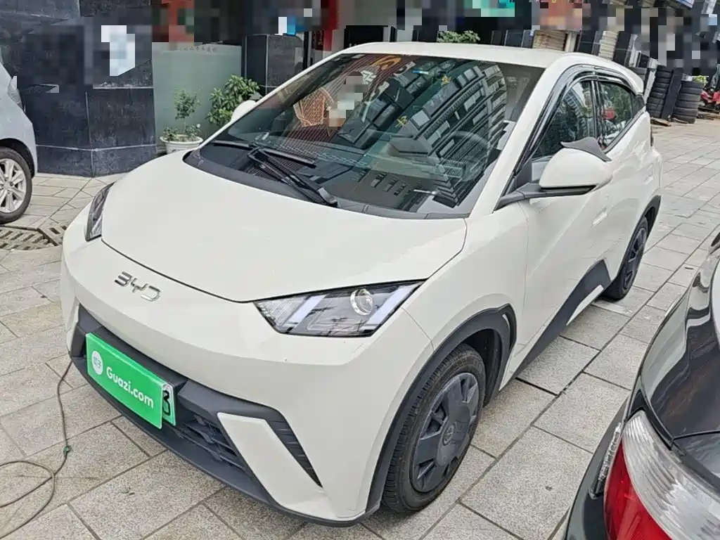 BYD Seagull 2024