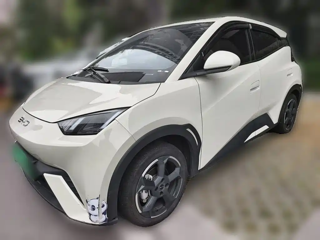 BYD Seagull 2024