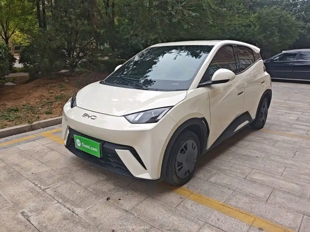 BYD Seagull 2024
