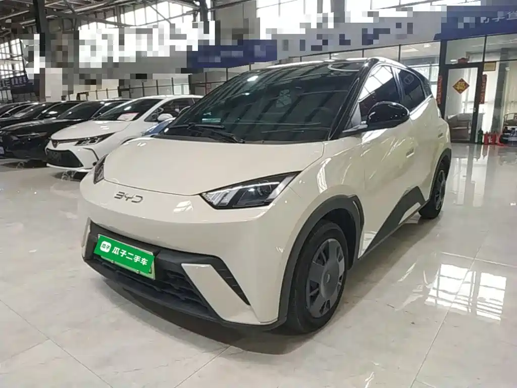 BYD Seagull 2024