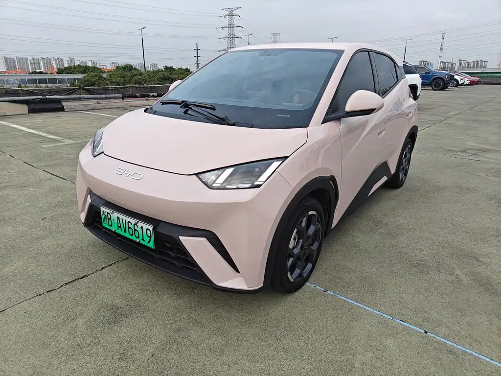 BYD Seagull 2024